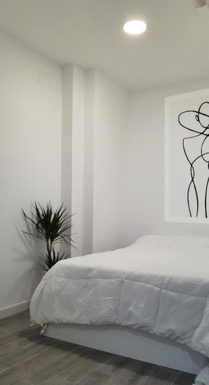 Coqueto Apartamento Nuevo En Pleno Centro De Algeciras Bb 外观 照片